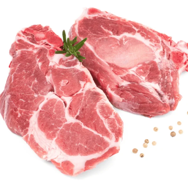 Échine